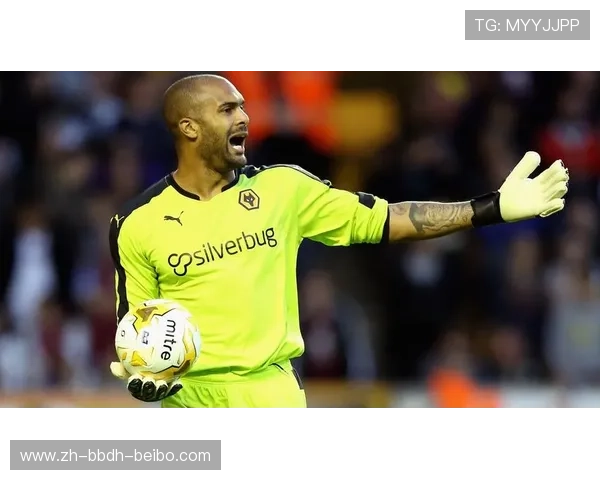 英超球员卡尔相关体育数据及表现回顾 英超球员卡尔相关体育数据及表现回顾