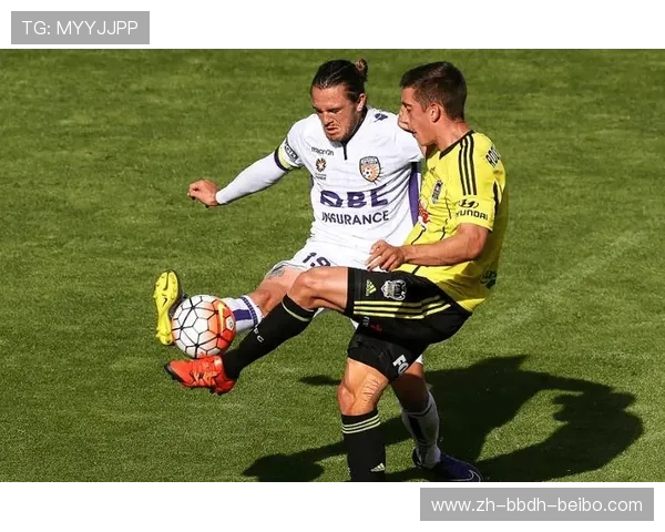 巴西甲级联赛主要赞助商介绍 巴西甲级联赛主要赞助商介绍