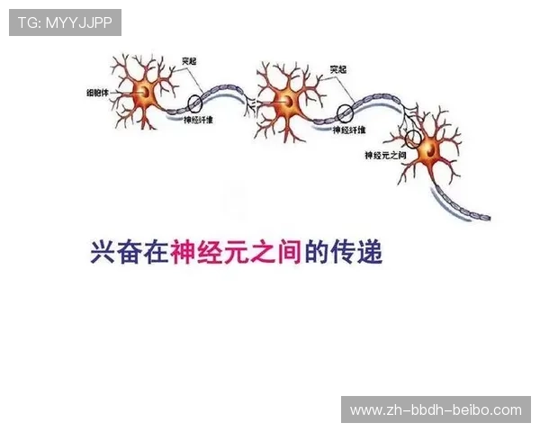 足球肌肉激活方法在比赛前提升球员神经纤维反应速度的作用 足球肌肉激活方法在比赛前提升球员神经纤维反应速度的作用